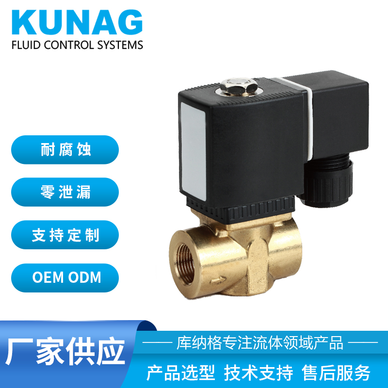 Datong direct acting two way solenoid valve two position two way plunger type