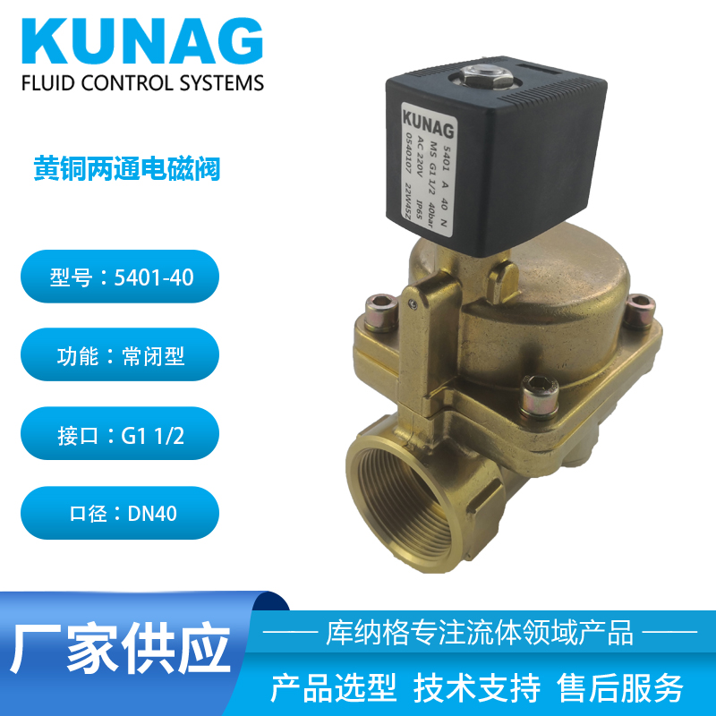 0540107 Brass solenoid valve Water inlet high-pressure solenoid valve AC220V