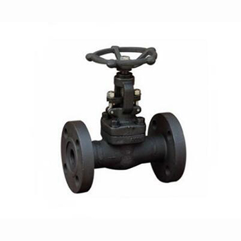 Regus Riggs Imported Forged Steel Flange Globe Valve