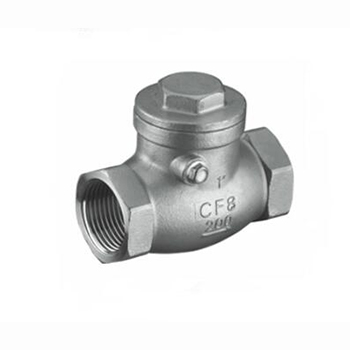 Regus Regis imported swing check valve