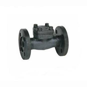 Regus Regis imported flange forged steel check valve