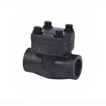 Regus Regis imported forged steel check valve