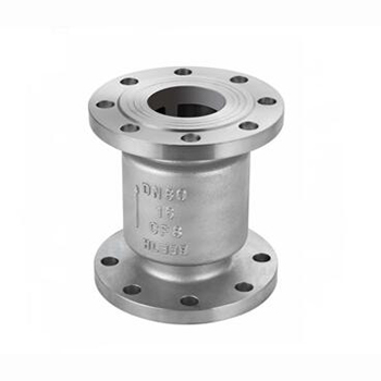 Regus Regis imported vertical check valve