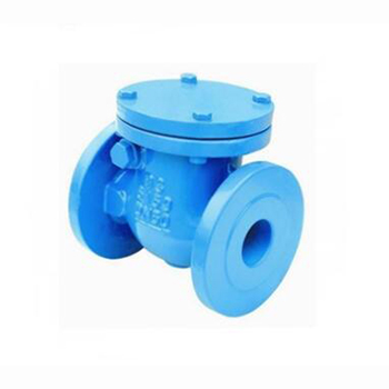 Regus Regis inlet flange check valve