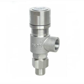 Regus Regus imported thread safety valve