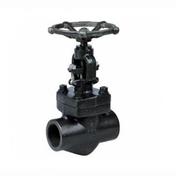 Regus Riggs Imported Forged Steel Globe Valve