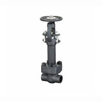 Regus Regus imported cryogenic gate valve