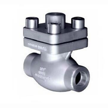 Regus Regis imported low temperature check valve