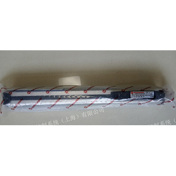 诺冠NORGREN 轻型LINTRA无杆气缸A44032AACAA270