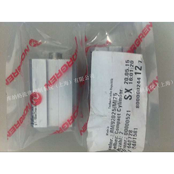 Norgren cylinder RM 92025 M 25 norgren