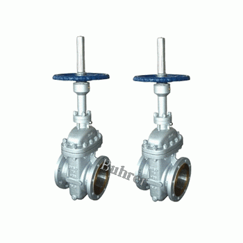 Imported flat gate valve Buhrer