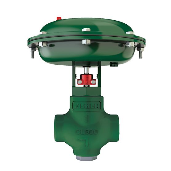 Fisher™ D2T FloPro 控制阀 EMERSON