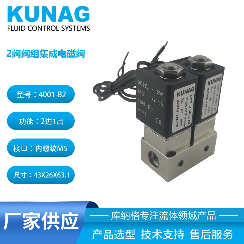 4001-B2 Integrated Valve Group 2-valve Solenoid Valve 2-in 1-out 1-in 2-out Flywire Coil