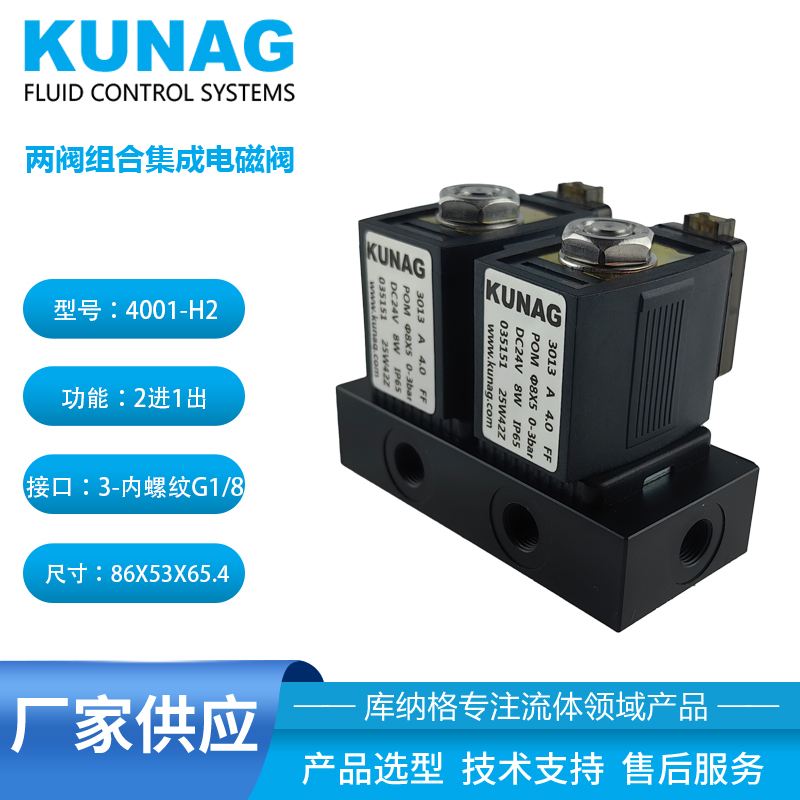 4001-H2 type valve group solenoid valve 2 in 1 out multi way inlet corrosion-resistant DC24V